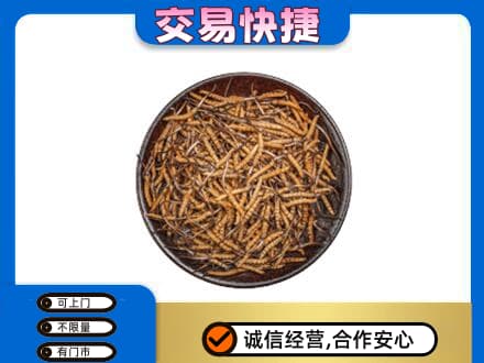 琼海高价回收散虫草